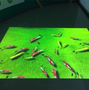 地面互動(dòng)投影+游戲